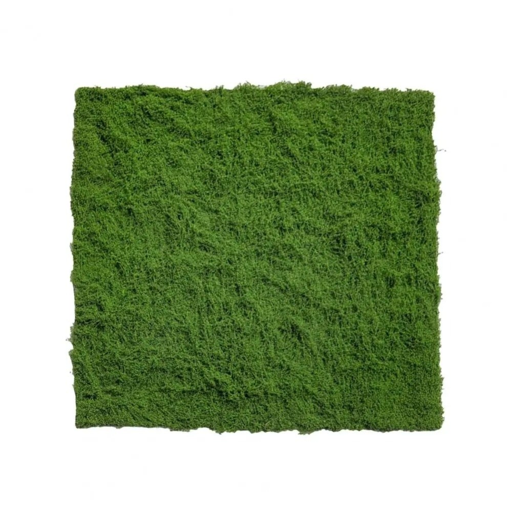 DIY Artificial Grass Rug Durab - Terrarium Moss Art ulasan dan harga