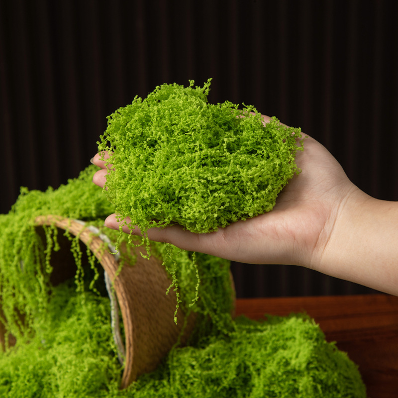 200g Eternal Life Moss DIY Cra - Terrarium Moss Art ulasan dan harga