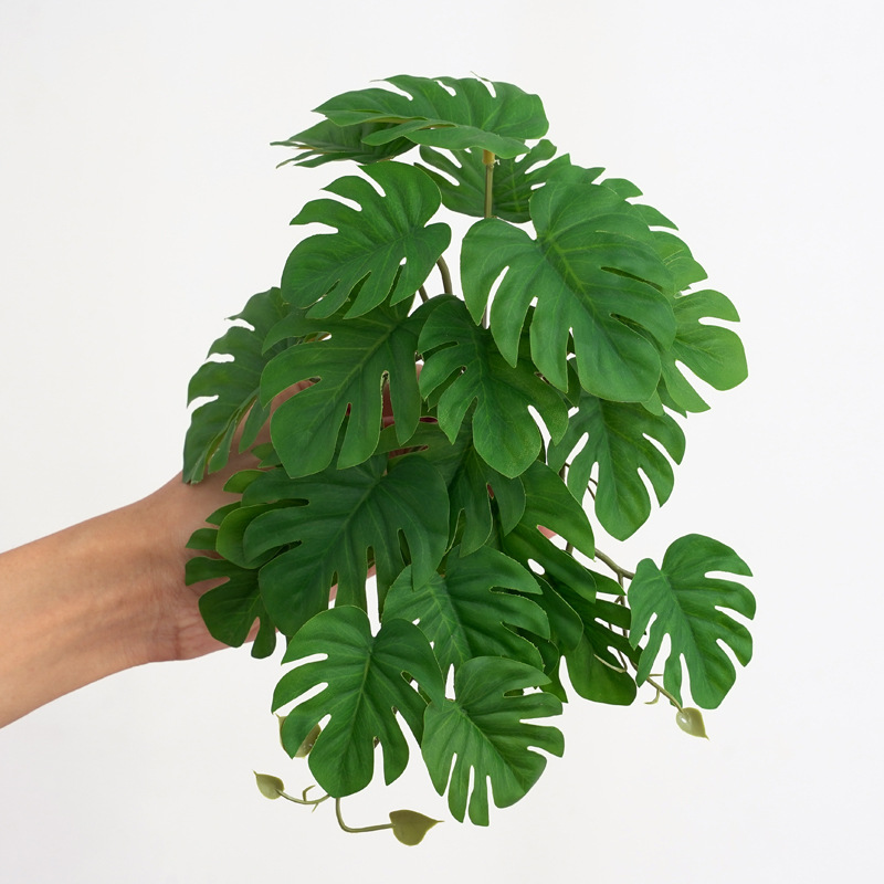 Reptile Plants for Terrarium A - Terrarium Moss Art ulasan dan harga